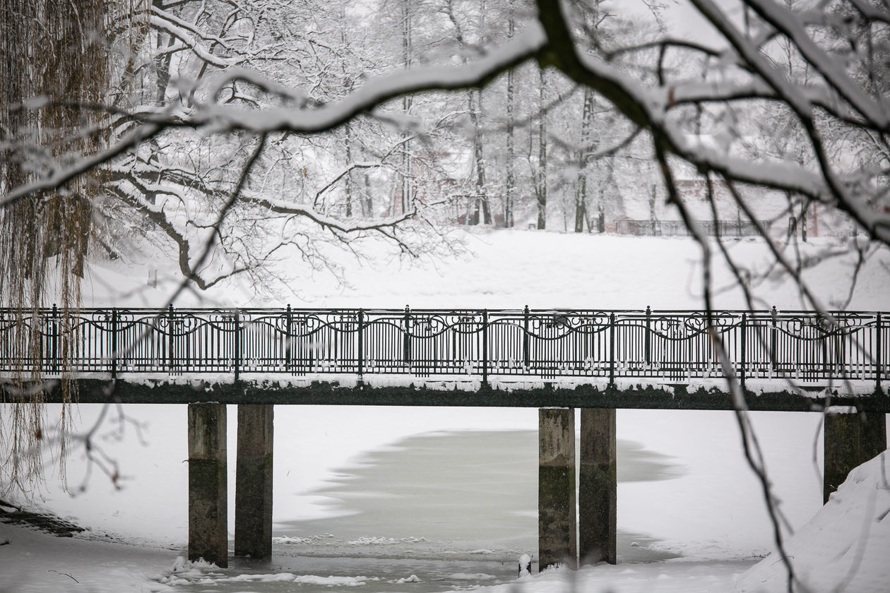  Zamość pod śniegiem (zdjęcie 1) - Autor: Kazimierz Chmiel