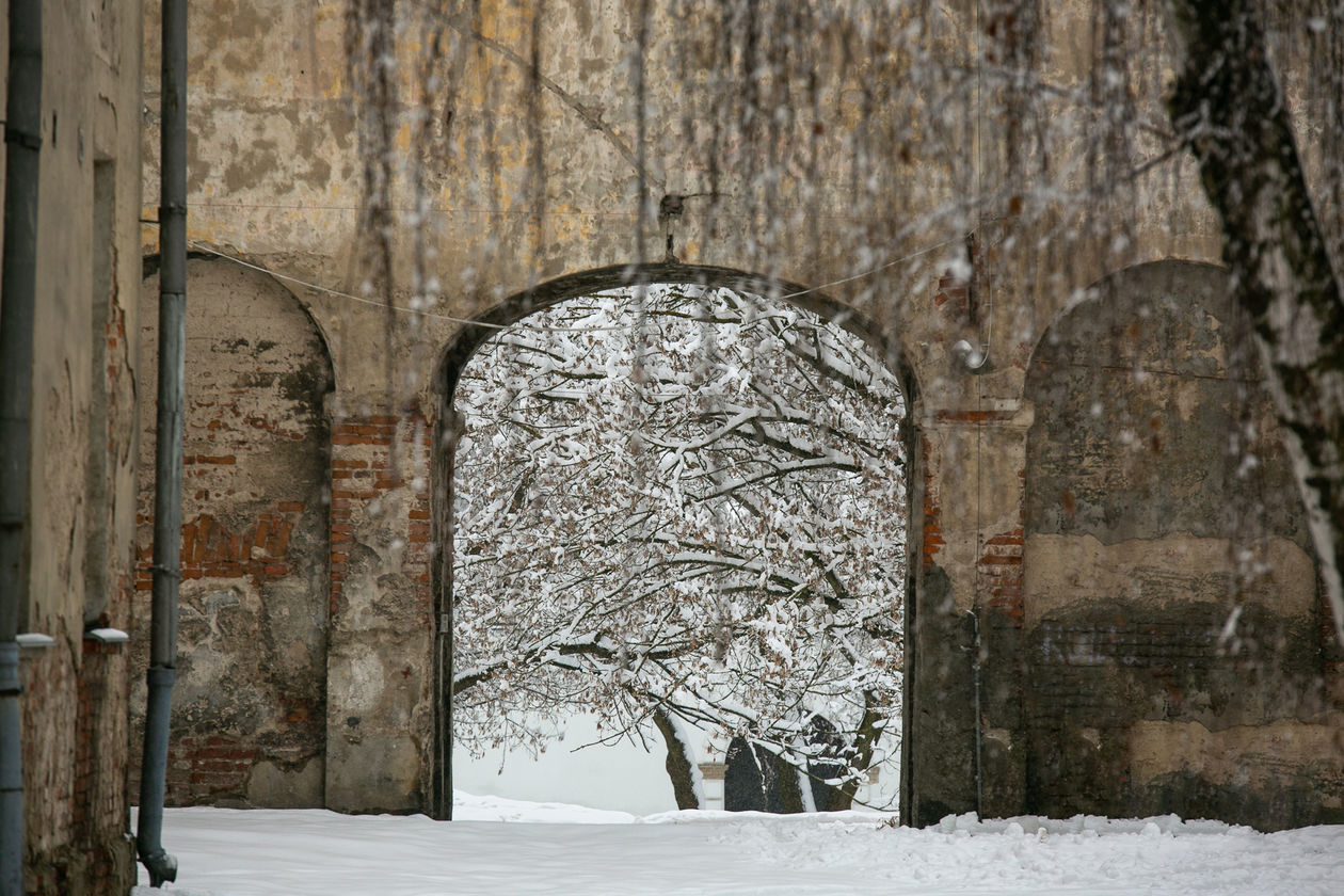  Zamość pod śniegiem (zdjęcie 1) - Autor: Kazimierz Chmiel