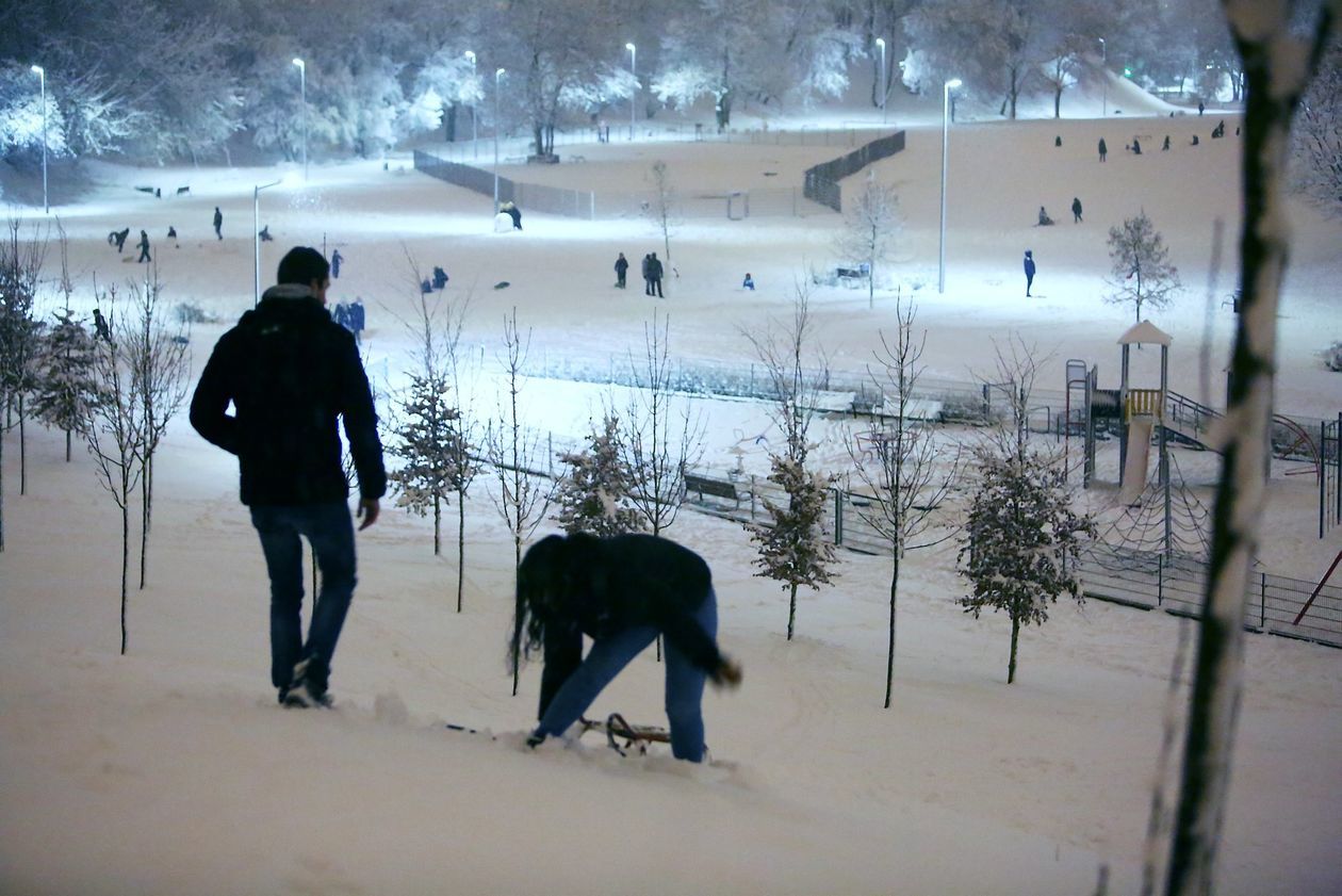  Zabawy na śniegu w wąwozie na Kalinie (zdjęcie 1) - Autor: Piotr Michalski