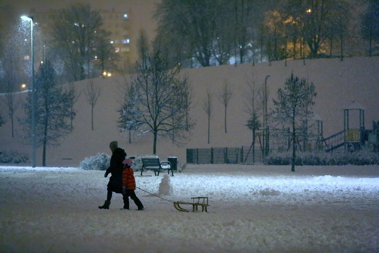  Zabawy na śniegu w wąwozie na Kalinie (zdjęcie 1) - Autor: Piotr Michalski