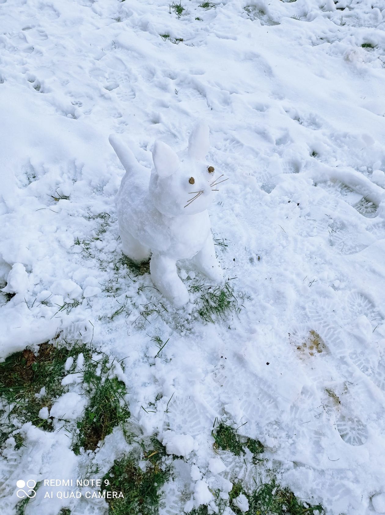  Bałwany i inne śnieżne budowle naszych Czytelników (zdjęcie 1) - Autor: Monika Wojtaś