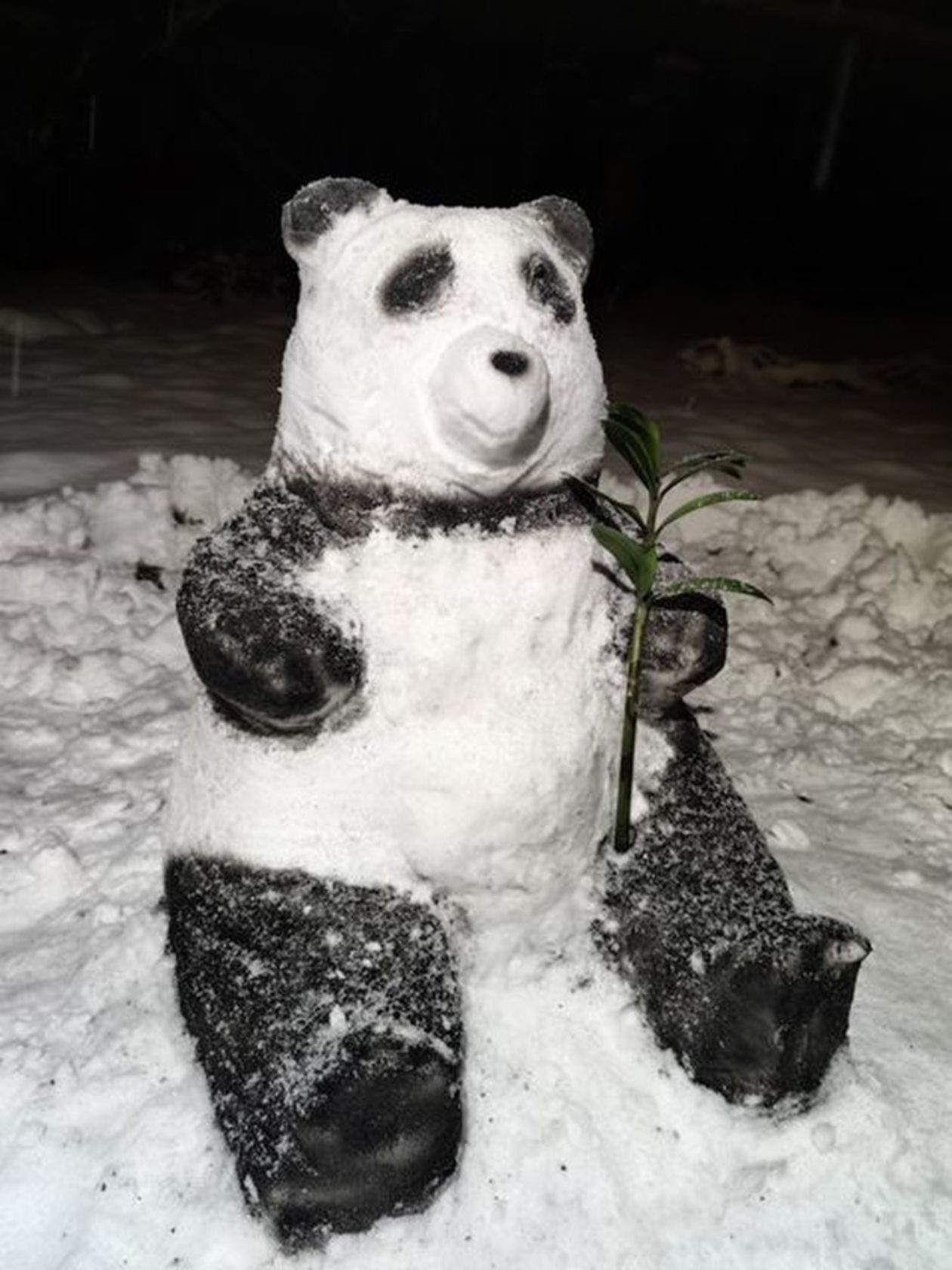  <p>Śnieżna panda przy ulicy Ciepłej w Lublinie</p>