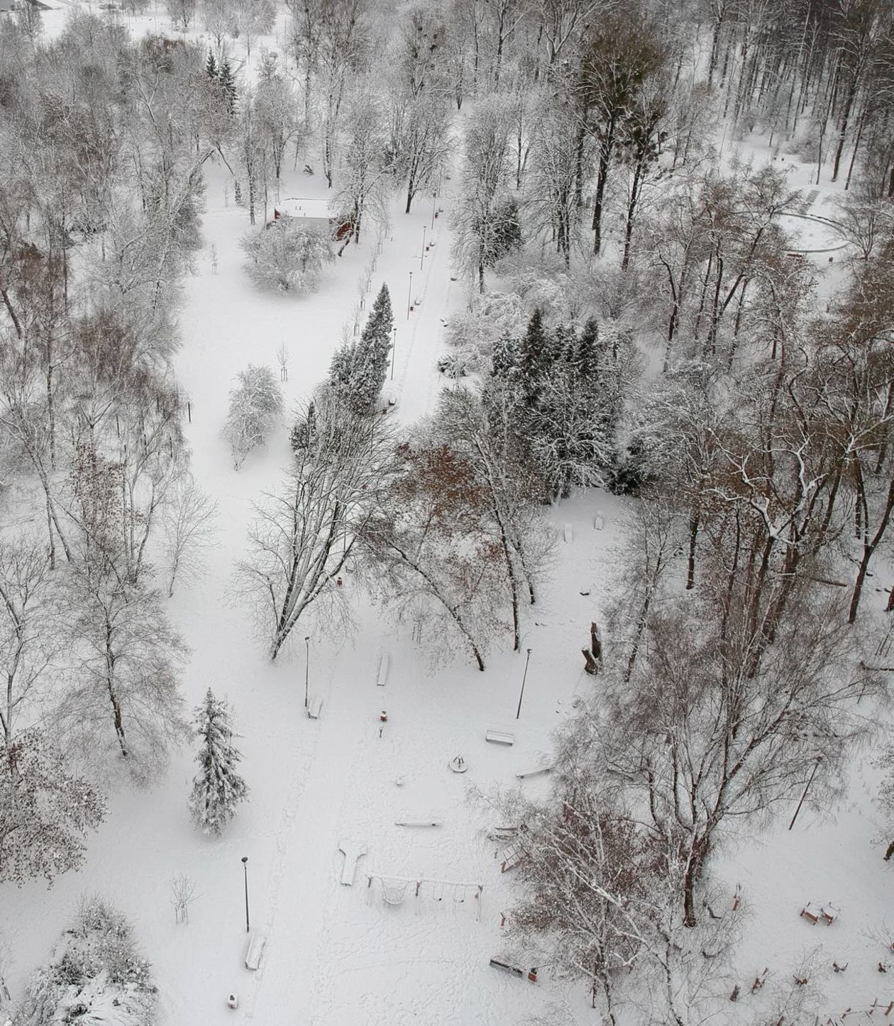  Park Ludowy pod śniegiem (zdjęcie 1) - Autor: Maciej Kaczanowski