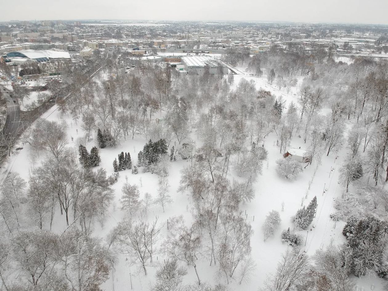  Park Ludowy pod śniegiem (zdjęcie 1) - Autor: Maciej Kaczanowski