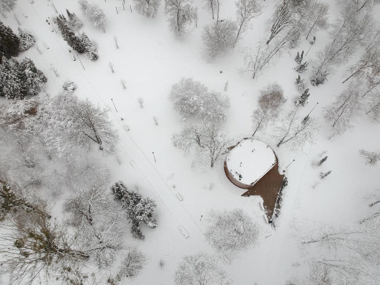  Park Ludowy pod śniegiem (zdjęcie 1) - Autor: Maciej Kaczanowski