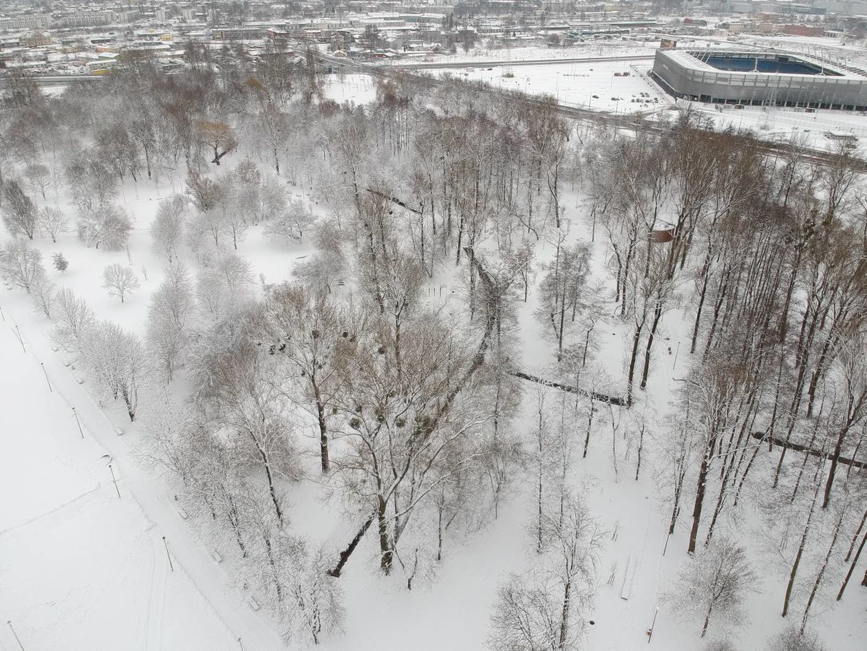  Park Ludowy pod śniegiem (zdjęcie 1) - Autor: Maciej Kaczanowski