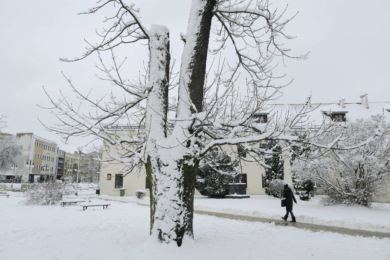  Zima w Lublinie nie odpuszcza (zdjęcie 1) - Autor: Maciej Kaczanowski