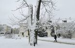 Zima w Lublinie nie odpuszcza (zdjęcie 5)