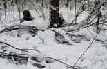 Zimowe ćwiczenia w chełmskim garnizonie (zdjęcie 3)