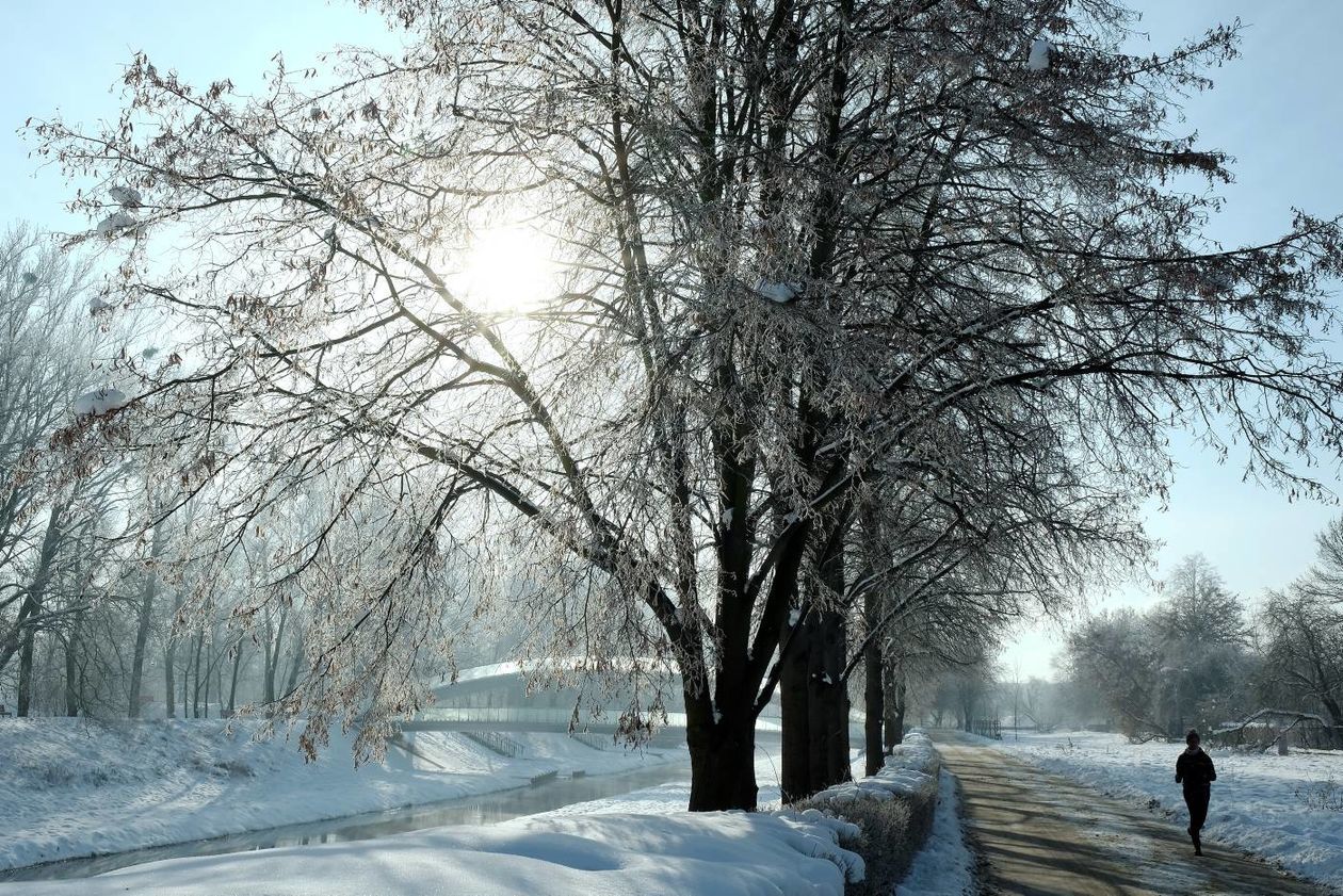  Szadź nad Bystrzycą w Lublinie (zdjęcie 1) - Autor: Maciej Kaczanowski