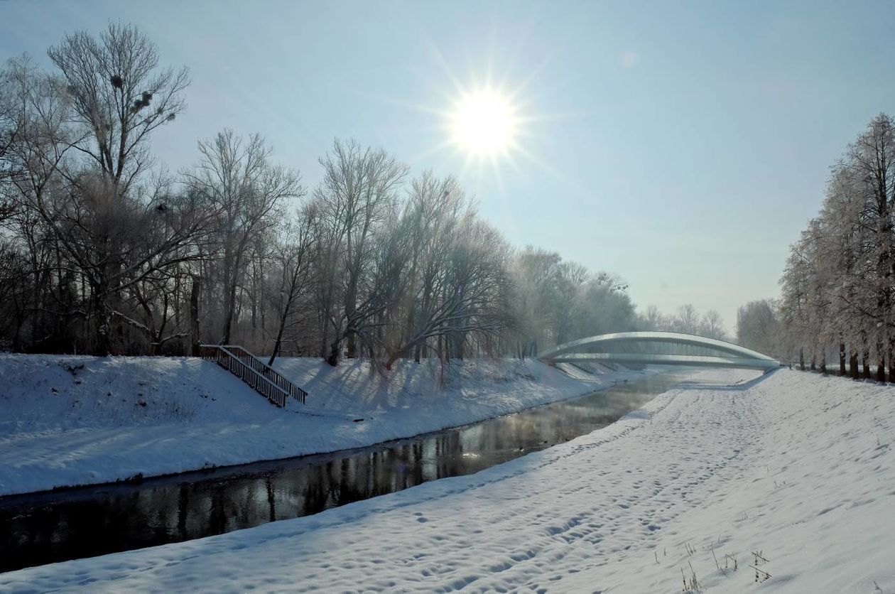  Szadź nad Bystrzycą w Lublinie (zdjęcie 1) - Autor: Maciej Kaczanowski