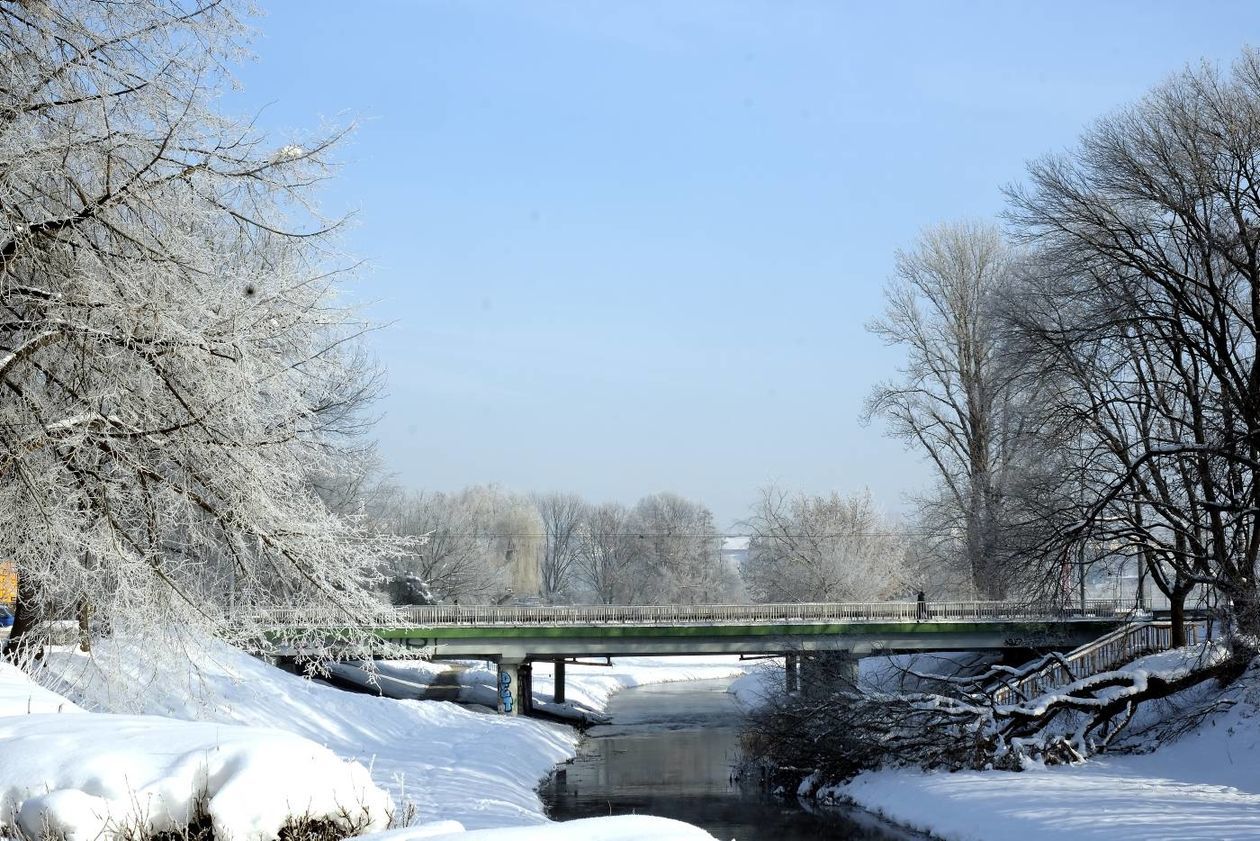  Szadź nad Bystrzycą w Lublinie (zdjęcie 1) - Autor: Maciej Kaczanowski