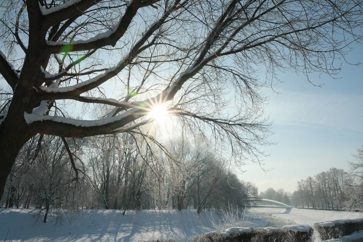  Szadź nad Bystrzycą w Lublinie (zdjęcie 1) - Autor: Maciej Kaczanowski