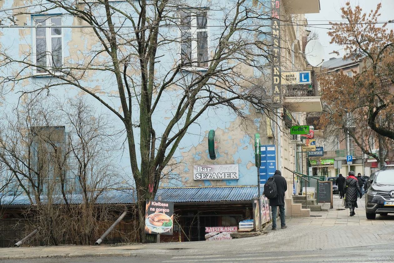  Wycinka drzew w sąsiedztwie placu budowy nowego dworca  (zdjęcie 1) - Autor: Maciej Kaczanowski