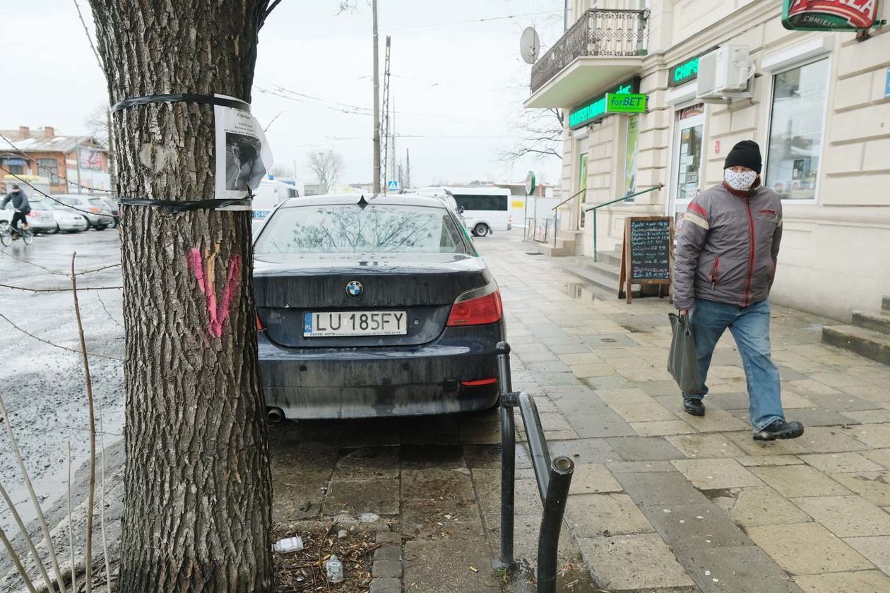  Wycinka drzew w sąsiedztwie placu budowy nowego dworca  (zdjęcie 1) - Autor: Maciej Kaczanowski