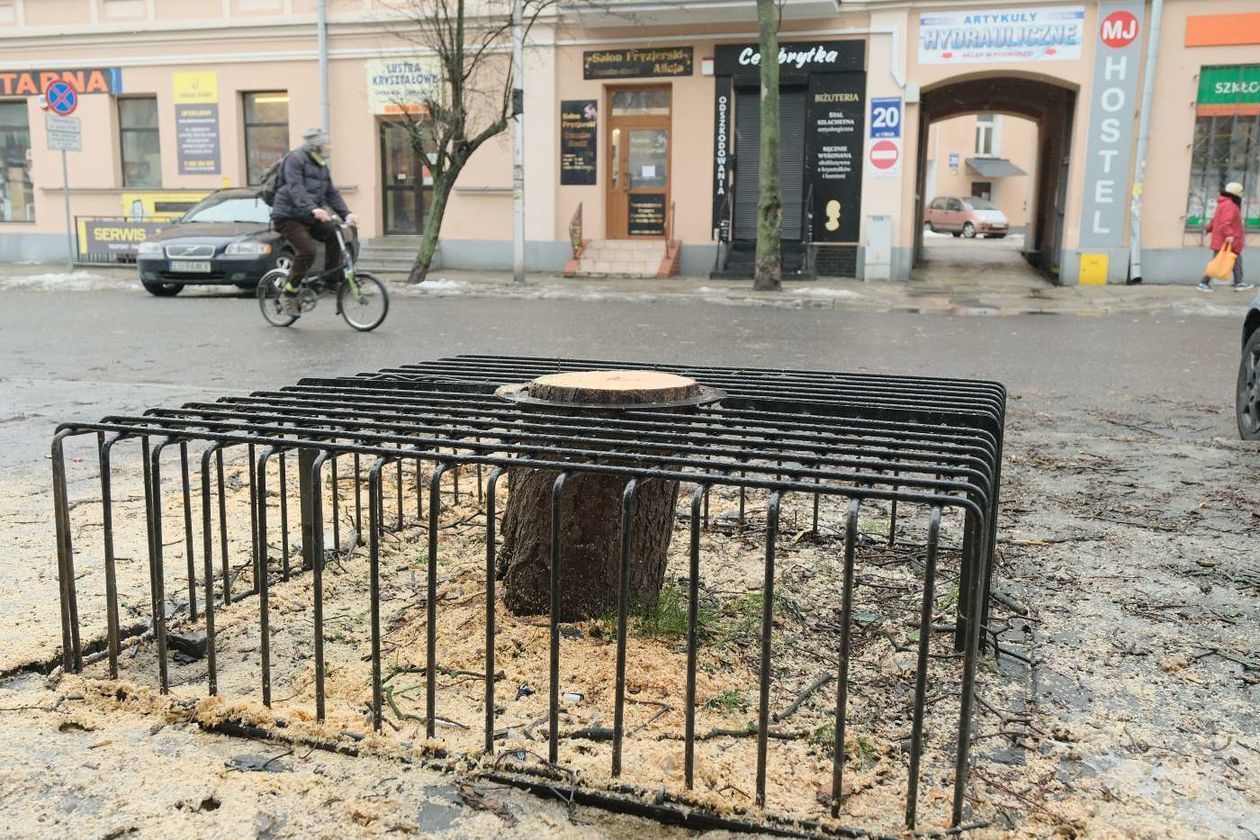  Akcja plakatowa w obronie drzew przy ul. 1 Maja (zdjęcie 1) - Autor: Maciej Kaczanowski