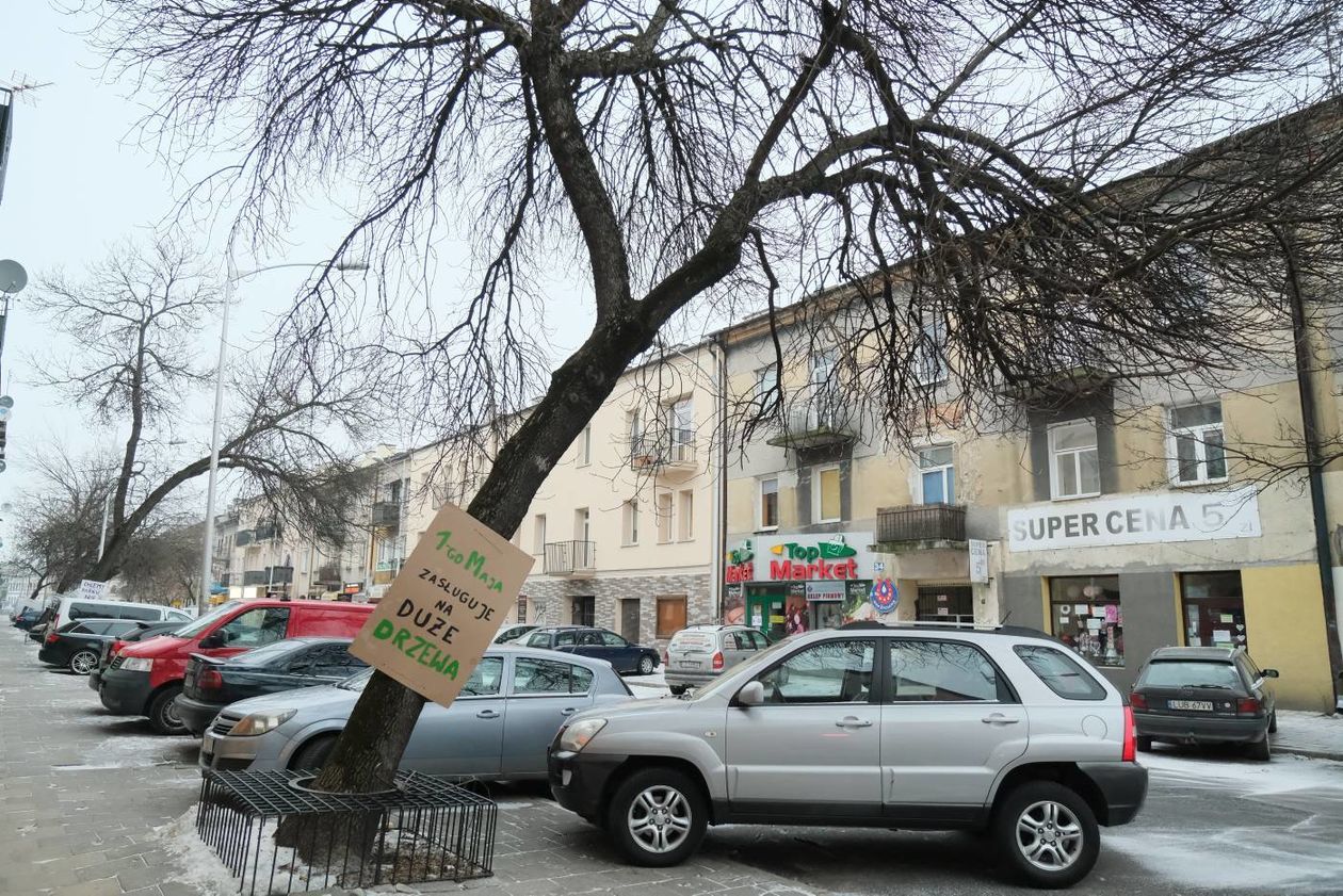  Akcja plakatowa w obronie drzew przy ul. 1 Maja (zdjęcie 1) - Autor: Maciej Kaczanowski