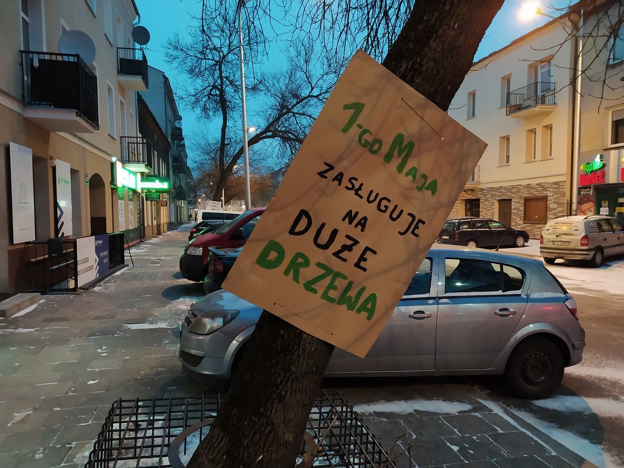  Akcja plakatowa w obronie drzew przy ul. 1 Maja (zdjęcie 1) - Autor: Dominik Smaga