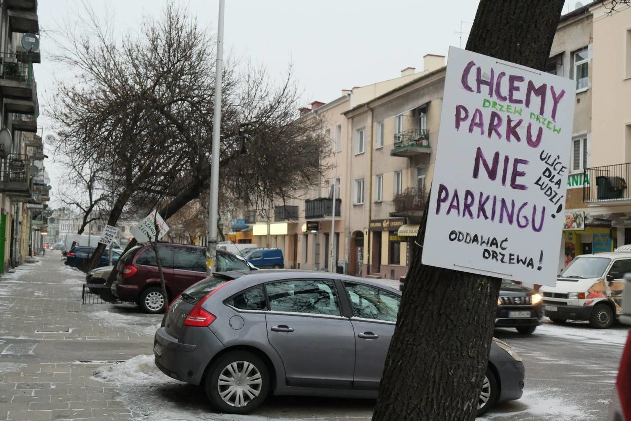  Akcja plakatowa w obronie drzew przy ul. 1 Maja (zdjęcie 1) - Autor: Maciej Kaczanowski