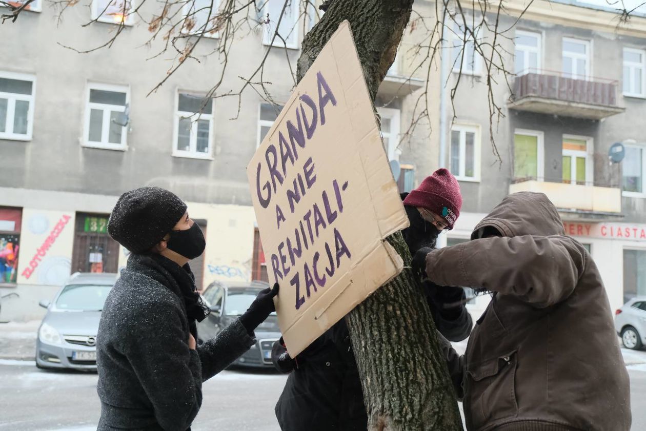  Akcja plakatowa w obronie drzew przy ul. 1 Maja (zdjęcie 1) - Autor: Maciej Kaczanowski