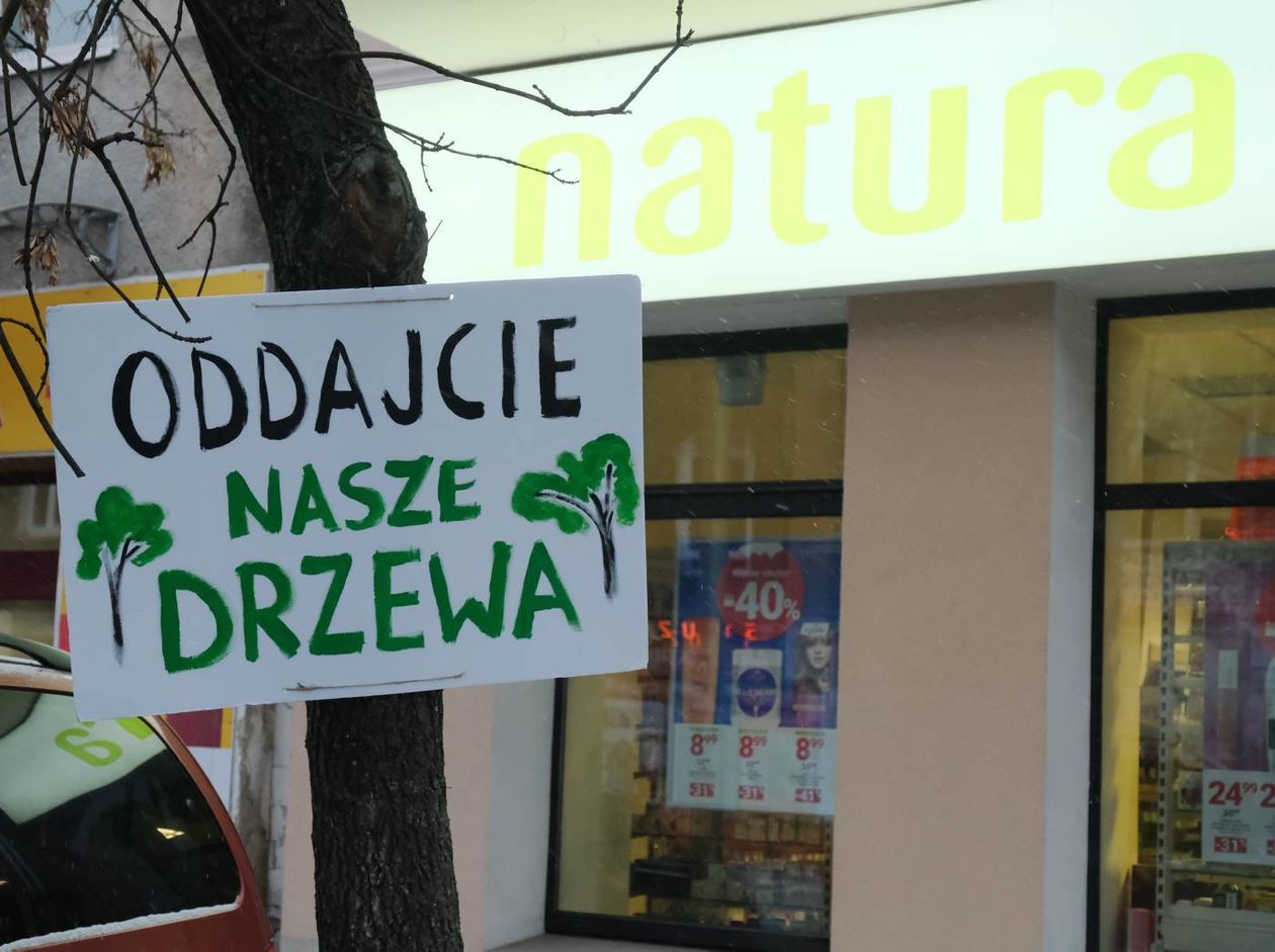  Akcja plakatowa w obronie drzew przy ul. 1 Maja (zdjęcie 1) - Autor: Maciej Kaczanowski
