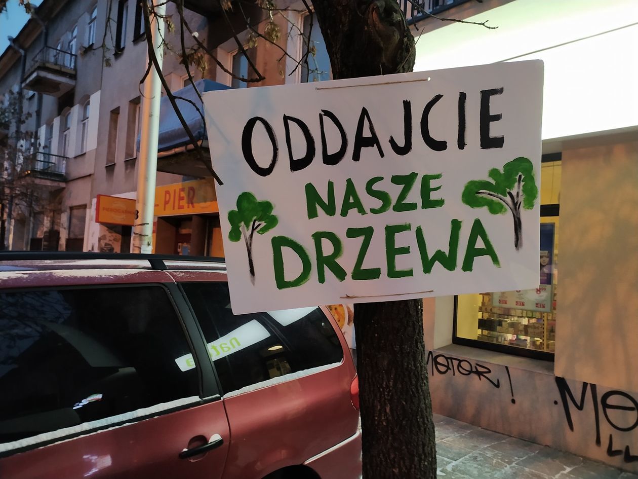  Akcja plakatowa w obronie drzew przy ul. 1 Maja (zdjęcie 1) - Autor: Dominik Smaga