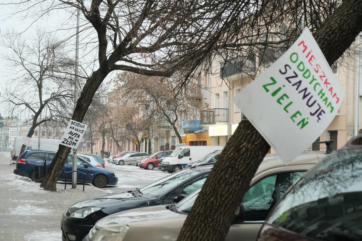  Akcja plakatowa w obronie drzew przy ul. 1 Maja (zdjęcie 1) - Autor: Maciej Kaczanowski