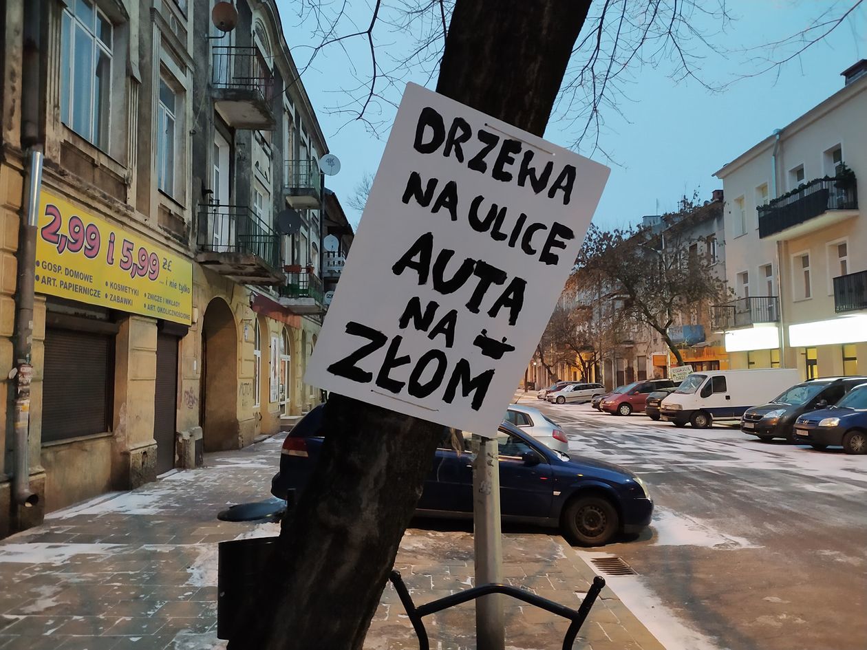  Akcja plakatowa w obronie drzew przy ul. 1 Maja (zdjęcie 1) - Autor: Dominik Smaga