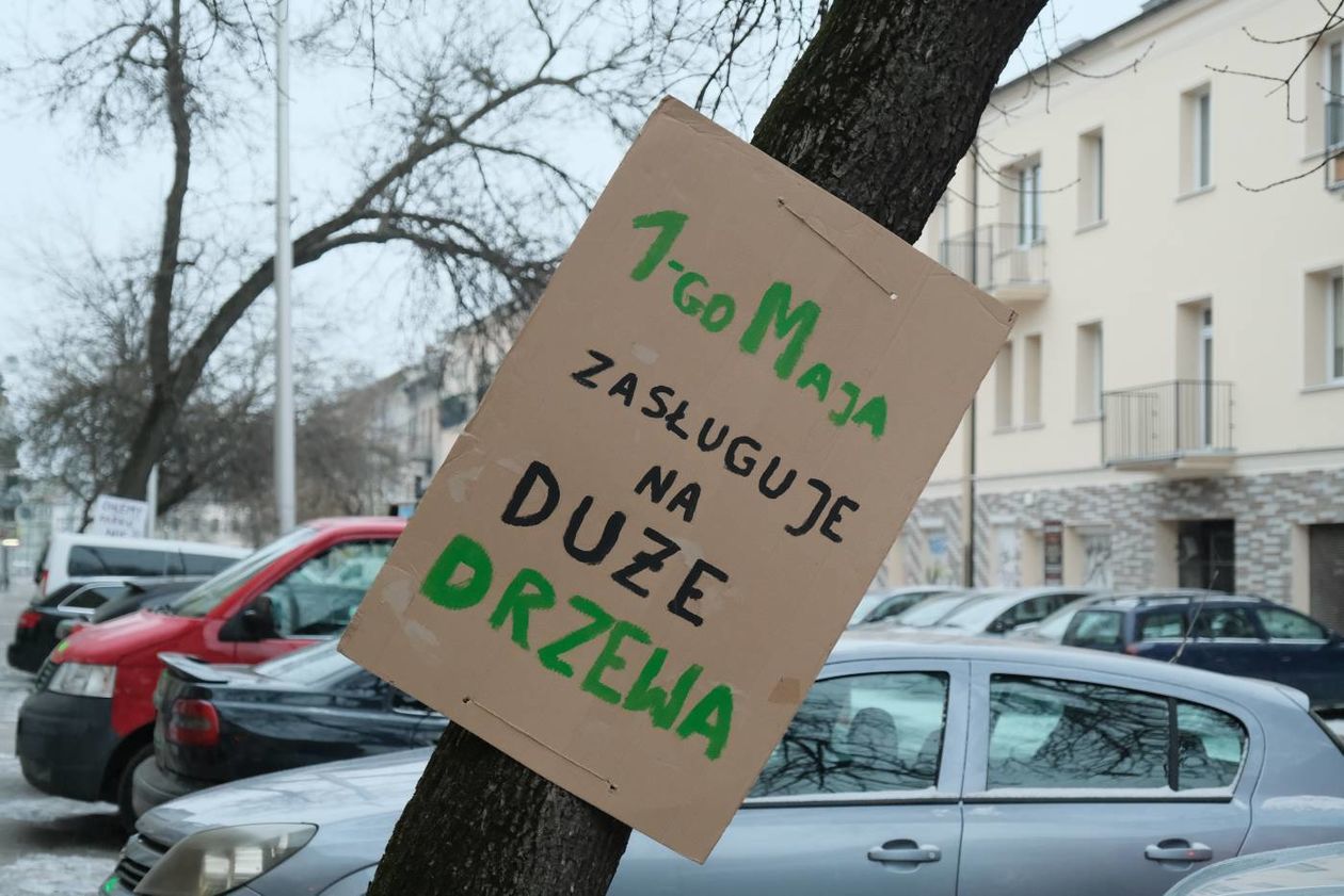  Akcja plakatowa w obronie drzew przy ul. 1 Maja (zdjęcie 1) - Autor: Maciej Kaczanowski