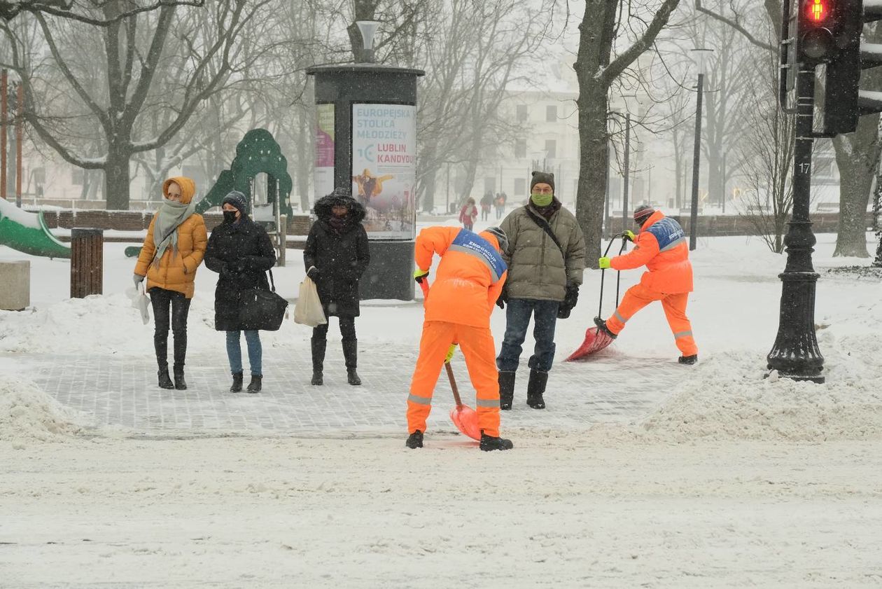 Atak zimy w Lublinie - Autor: Maciej Kaczanowski