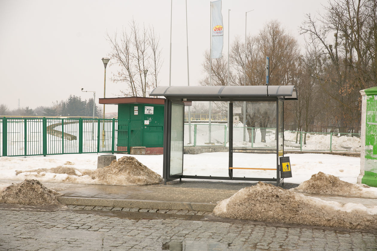  Resztki zimy w Zamościu (zdjęcie 1) - Autor: Kazimierz Chmiel