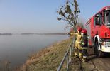 Straż pożarna kontroluje stan Wiłsy i Wieprza (zdjęcie 4)