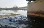 Kontrola stanu wody w rzece Krznie i Bug (zdjęcie 4)