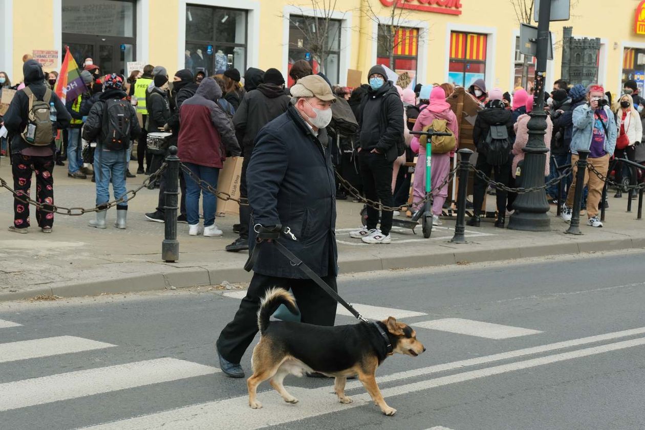  V Manifa w Lublinie (zdjęcie 1) - Autor: Maciej Kaczanowski