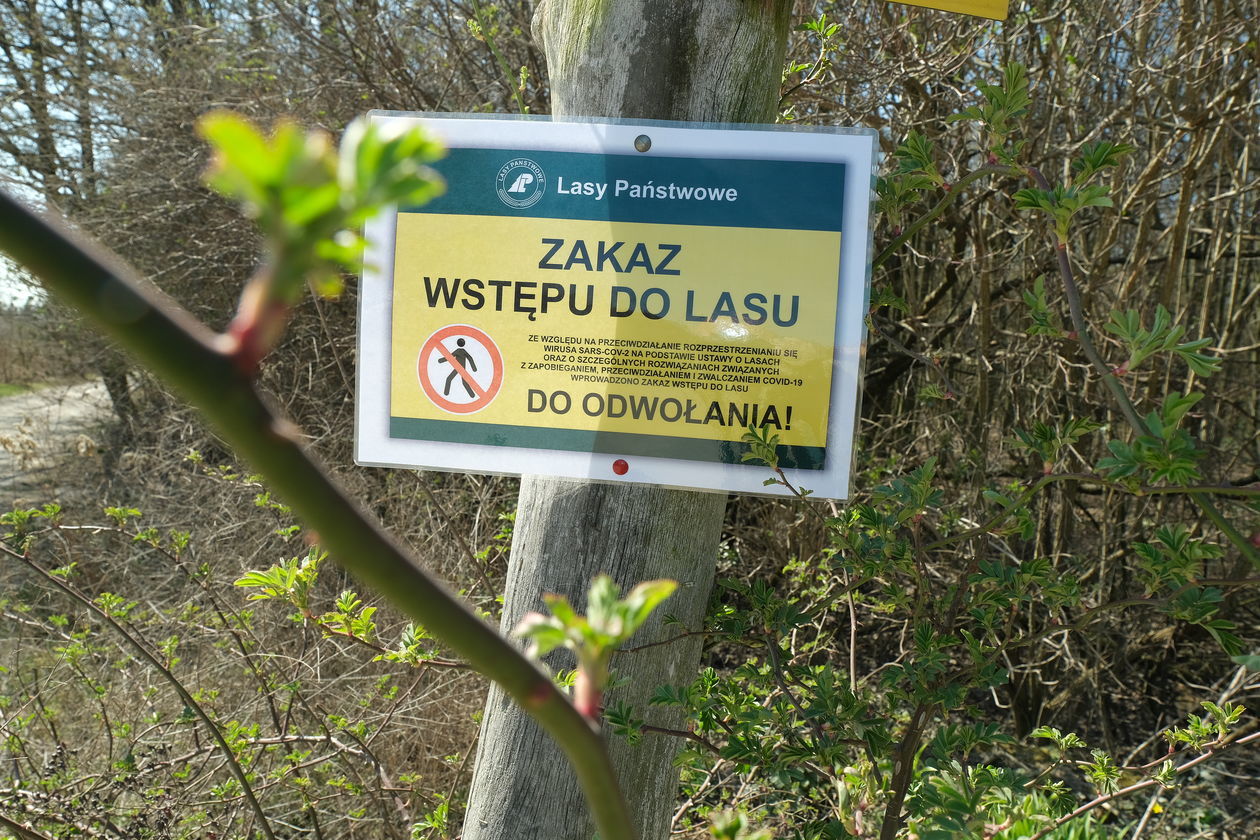  <p>Wprowadzono też zakaz wstępu do las&oacute;w</p>