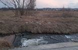 Operacja Czysta Rzeka w Kraśniku (zdjęcie 3)