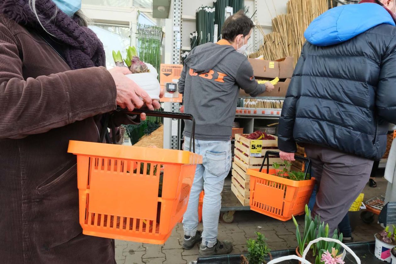  Zakupy w hipermarkecie budowlanym OBI kilka godzin przed lockdownem (zdjęcie 1) - Autor: Maciej Kaczanowski