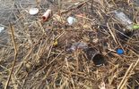 Śmieci w jeziorze Okuninka (zdjęcie 5)