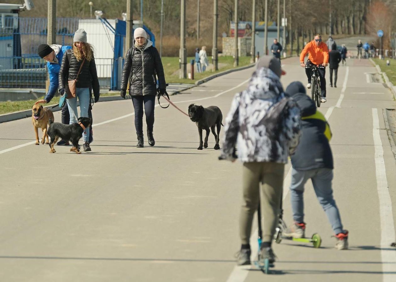  Relaks nad Zalewem Zemborzyckim w świąteczny poniedziałek (zdjęcie 1) - Autor: Maciej Kaczanowski