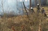 Pożar lasu w Nadleśnictwie Włodawa (zdjęcie 5)