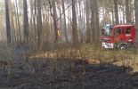 Pożar lasu w Nadleśnictwie Włodawa (zdjęcie 3)