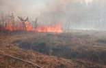 Pożar lasu w Nadleśnictwie Włodawa (zdjęcie 4)
