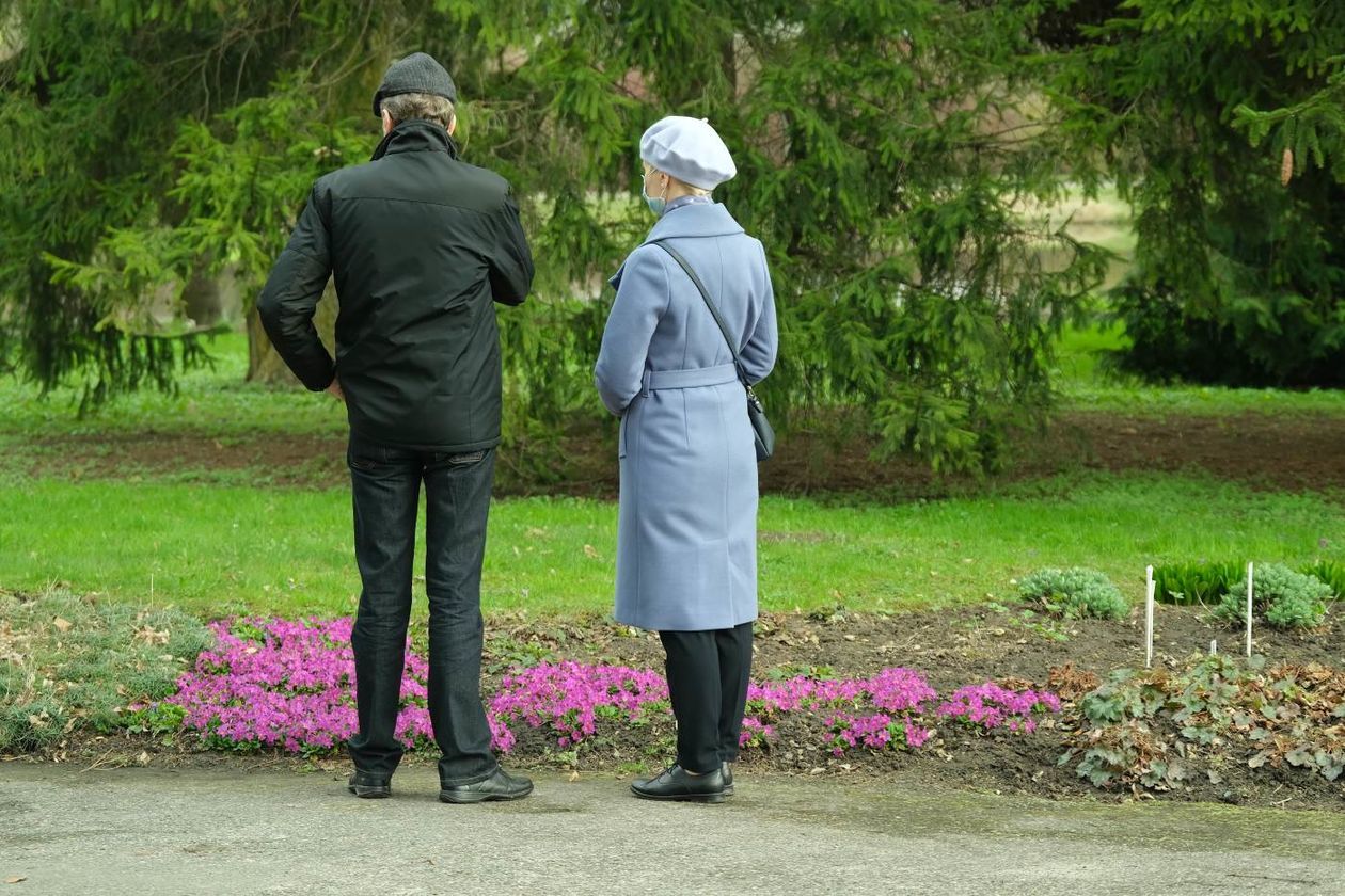  Ogród Botaniczny UMCS już otwarty dla zwiedzających (zdjęcie 1) - Autor: Maciej Kaczanowski