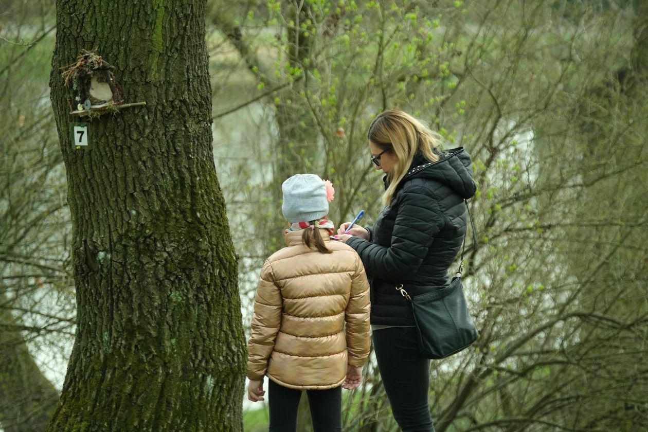  Ogród Botaniczny UMCS już otwarty dla zwiedzających (zdjęcie 1) - Autor: Maciej Kaczanowski