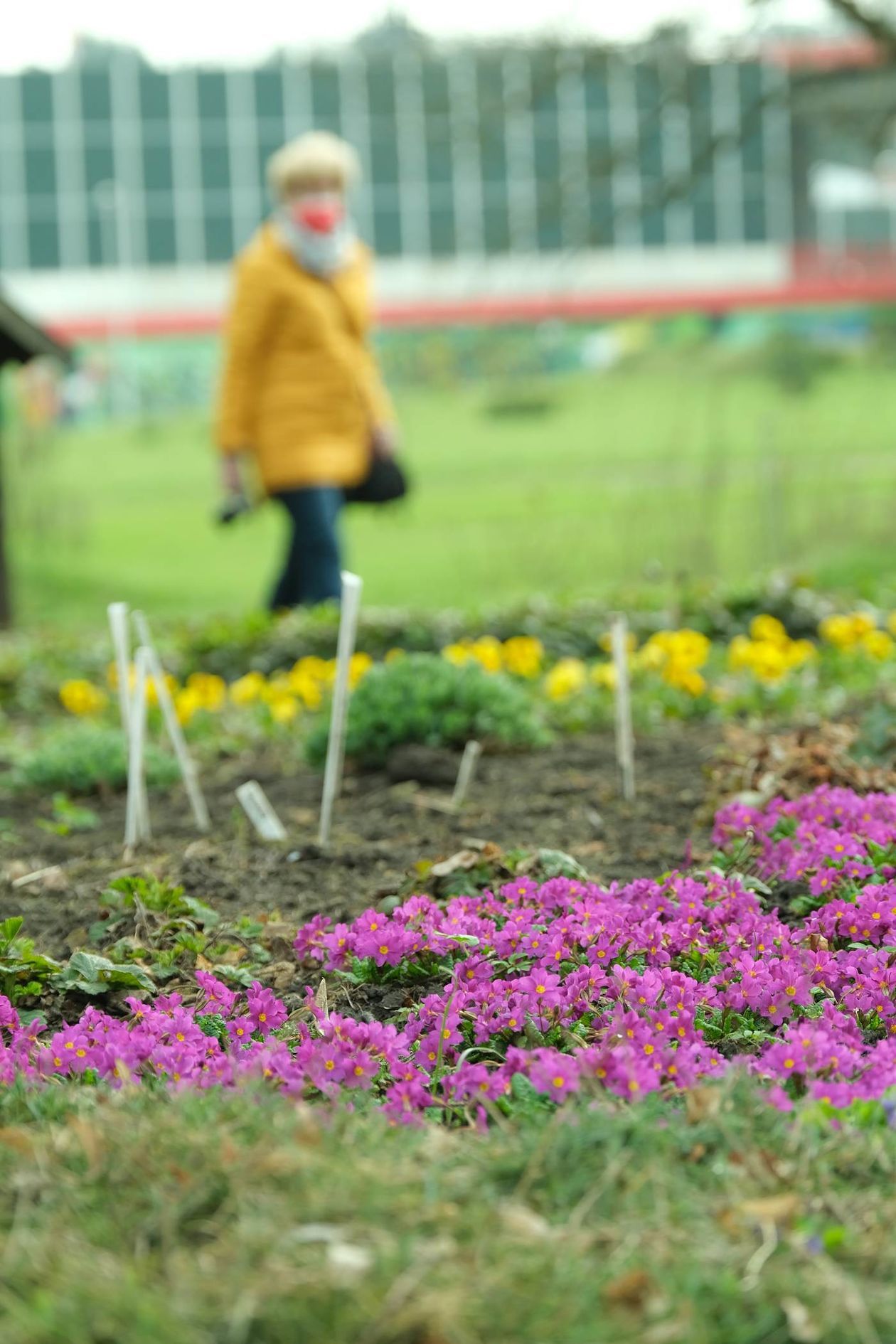  Ogród Botaniczny UMCS już otwarty dla zwiedzających (zdjęcie 1) - Autor: Maciej Kaczanowski