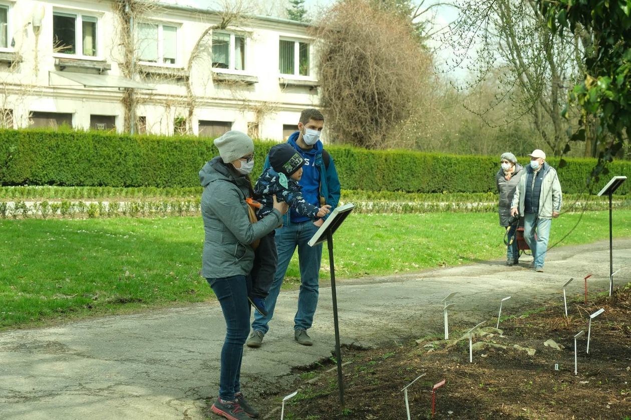  Ogród Botaniczny UMCS już otwarty dla zwiedzających (zdjęcie 1) - Autor: Maciej Kaczanowski