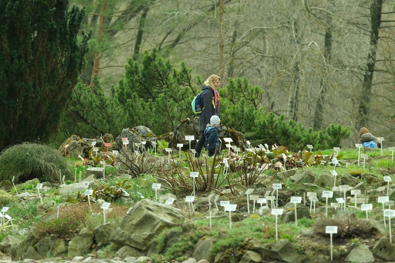  Ogród Botaniczny UMCS już otwarty dla zwiedzających (zdjęcie 1) - Autor: Maciej Kaczanowski