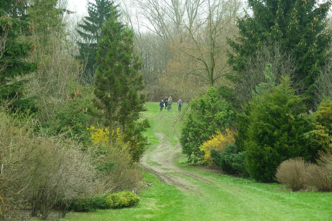  Ogród Botaniczny UMCS już otwarty dla zwiedzających (zdjęcie 1) - Autor: Maciej Kaczanowski