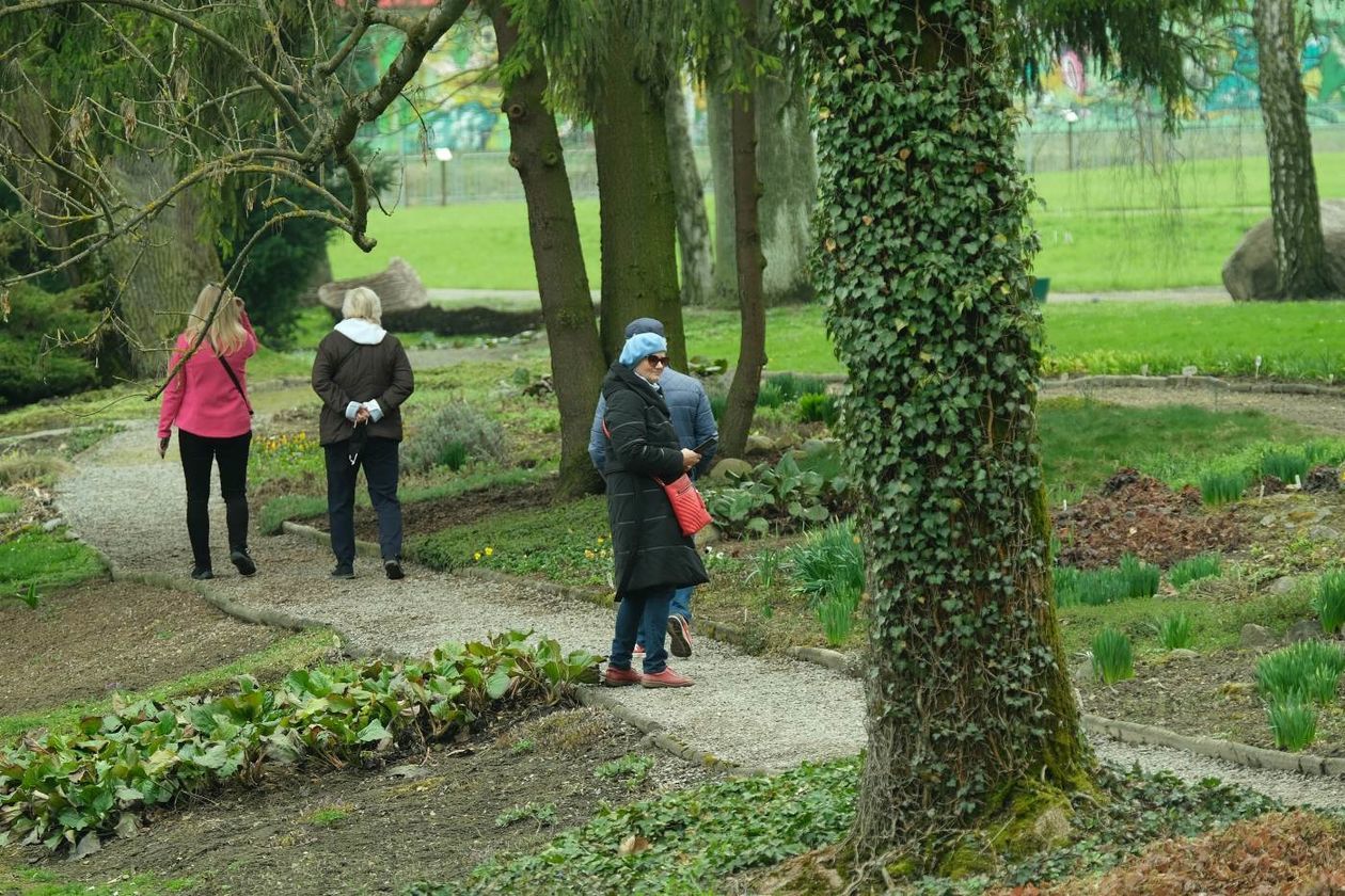  Ogród Botaniczny UMCS już otwarty dla zwiedzających (zdjęcie 1) - Autor: Maciej Kaczanowski