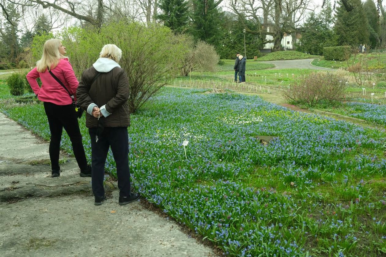  Ogród Botaniczny UMCS już otwarty dla zwiedzających (zdjęcie 1) - Autor: Maciej Kaczanowski